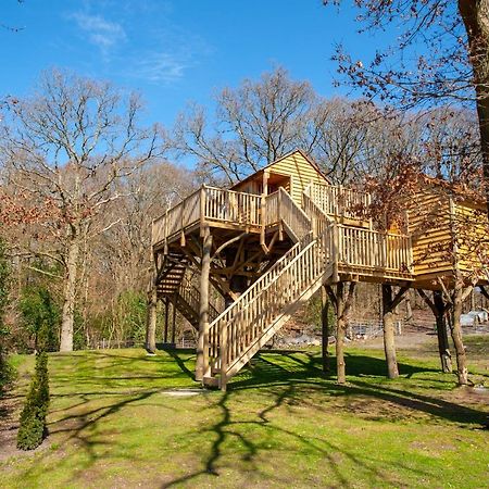 Oakside Tree Tops Canterbury Bagian luar foto