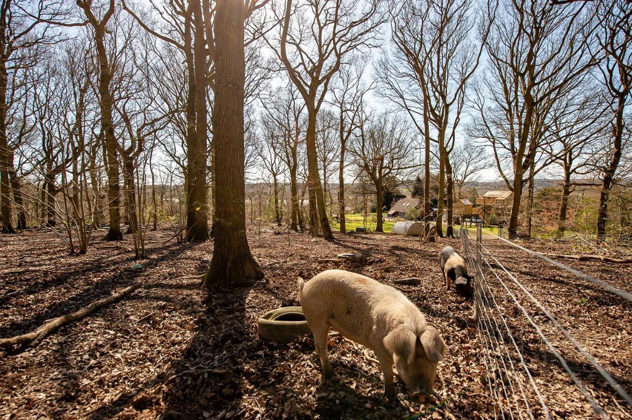 Oakside Tree Tops Canterbury Bagian luar foto