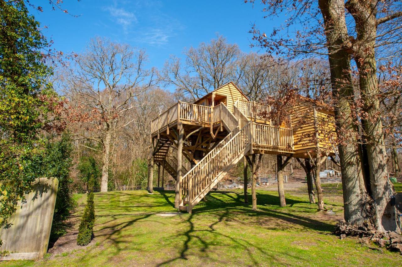 Oakside Tree Tops Canterbury Bagian luar foto