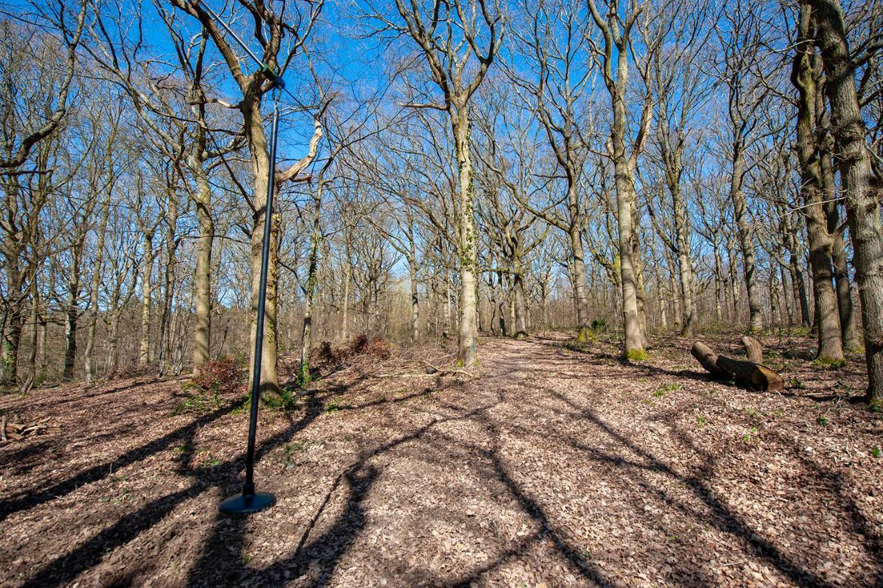 Oakside Tree Tops Canterbury Bagian luar foto