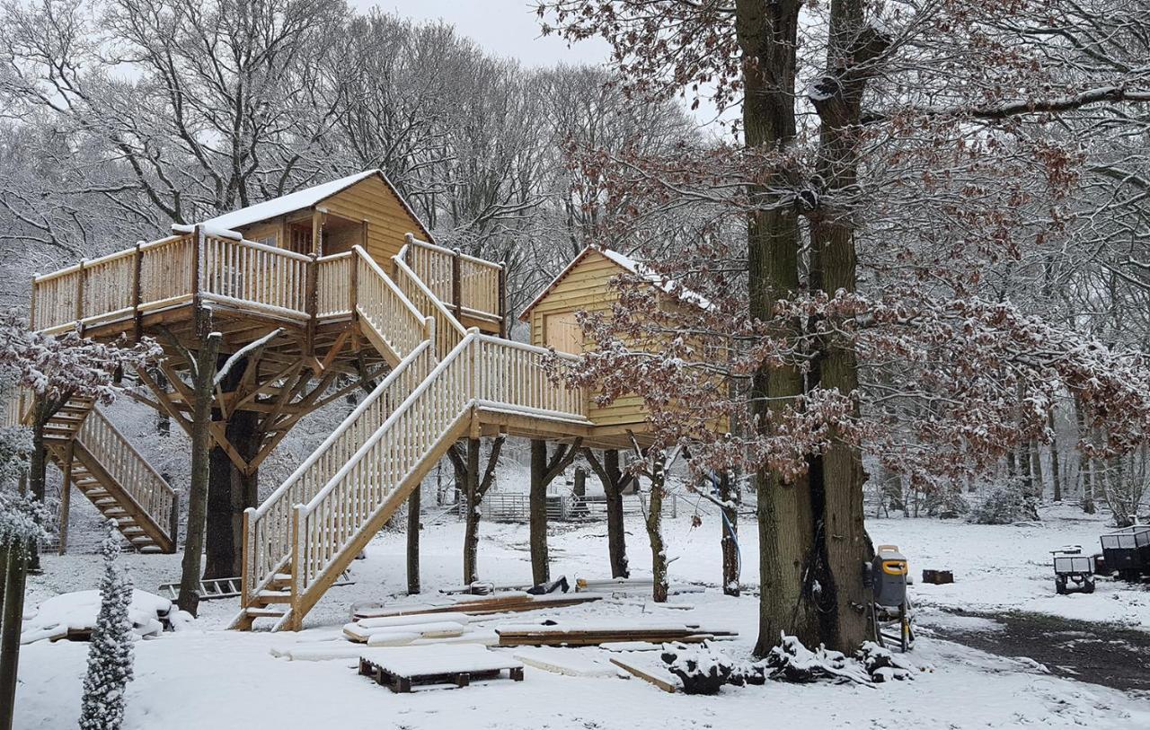 Oakside Tree Tops Canterbury Bagian luar foto